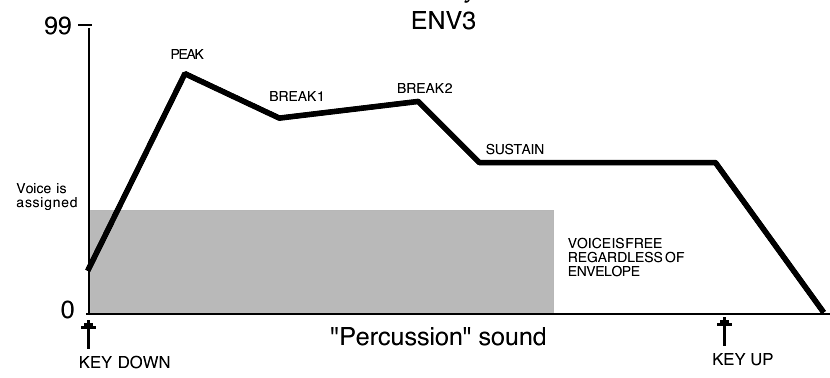 Unlooped percussion wave: the voice is free when the sample ends, regardless of envelope level