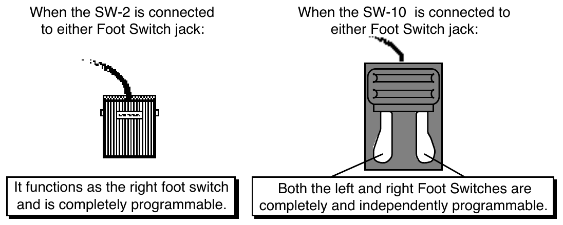 SW-2 single pedal (acts as the right foot switch) beside SW-10 dual pedal (left and right independently programmable)
